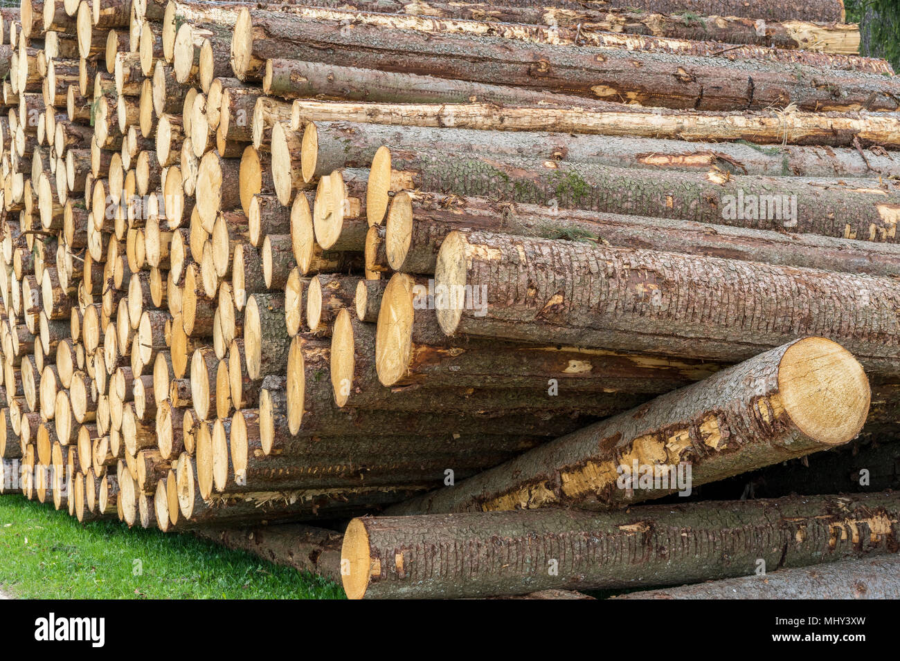 La récolte du bois dans les Alpes bavaroises, Allemagne Banque D'Images