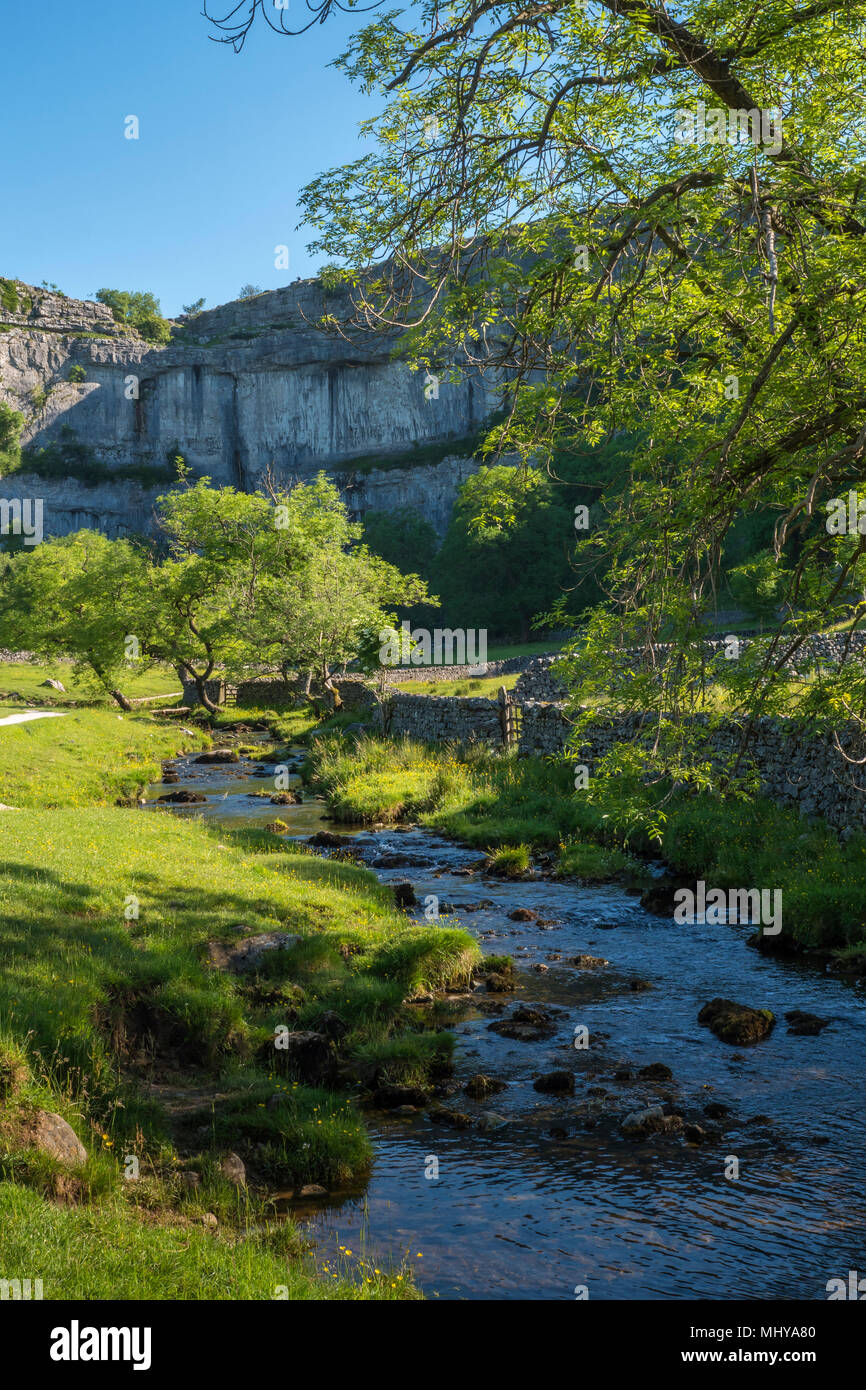 Malham Cove Malham Craven North Yorkshire Angleterre Banque D'Images