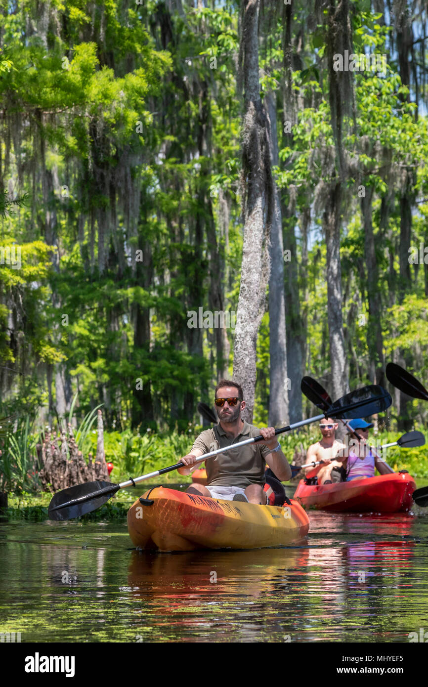 LaPlace, Louisiane - les kayakistes sur banque fictive Bayou près de la Nouvelle Orléans. Banque D'Images