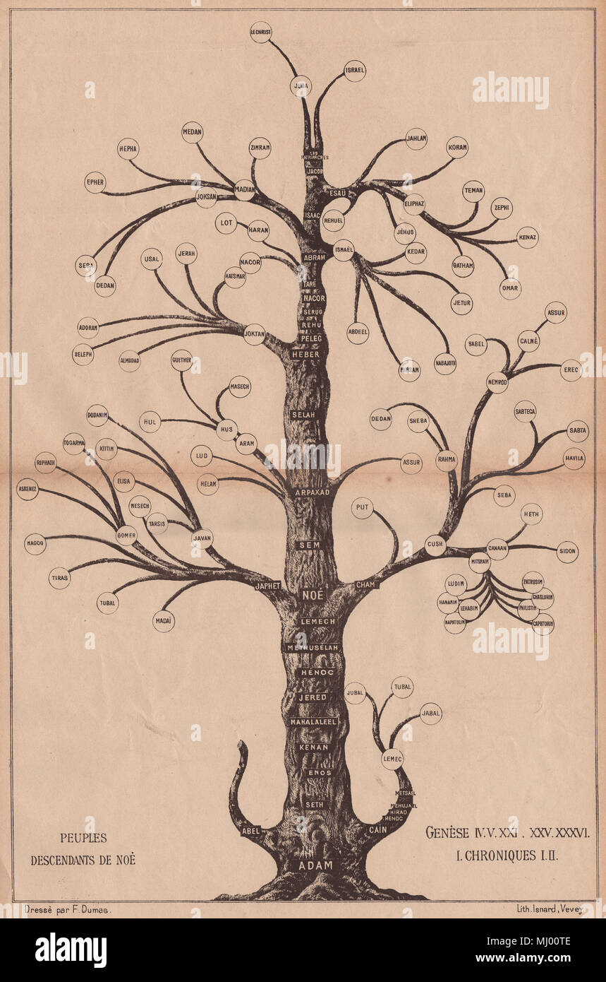 DESCENDANTS DE Noé. Arbre généalogique. Bible. Genèse chroniques 1887 vieux ancien Banque D'Images