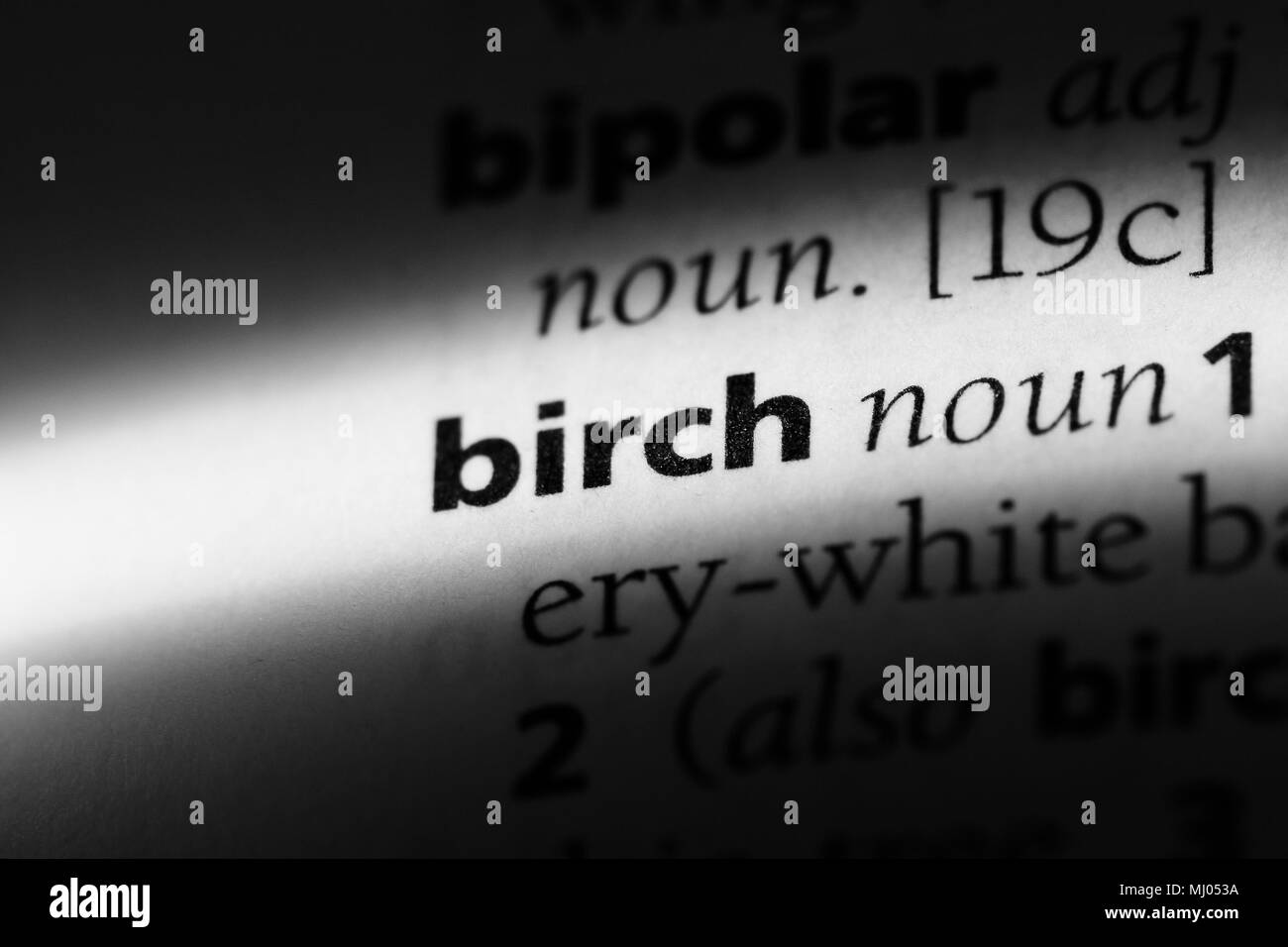 Mot du dictionnaire de bouleau bouleau. concept. Banque D'Images