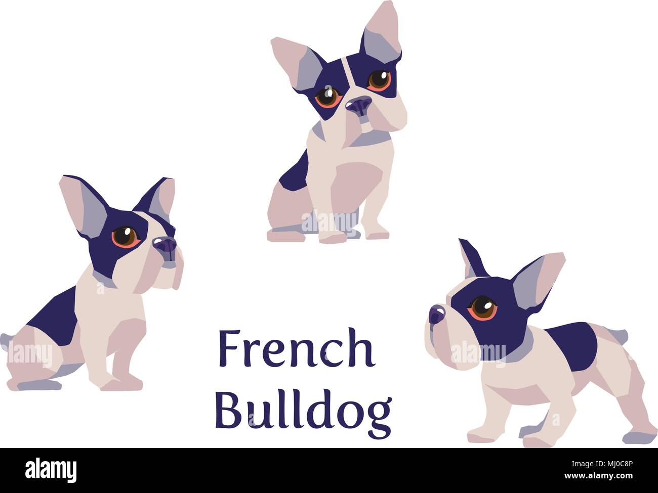 Vector illustration de Bouledogue Fran§ais dans différentes poses isolé sur fond blanc Stock