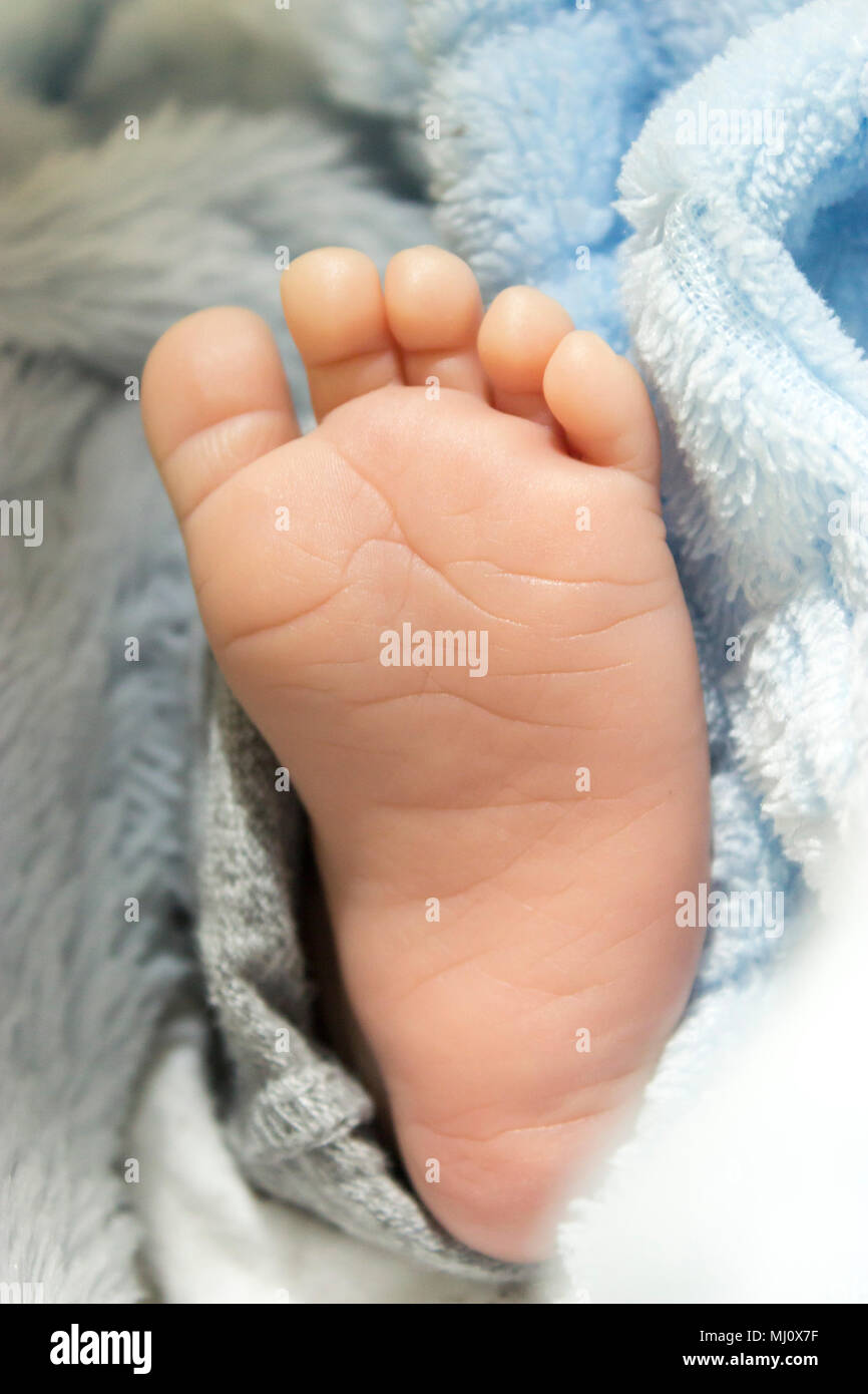 Pied de bébé Banque D'Images