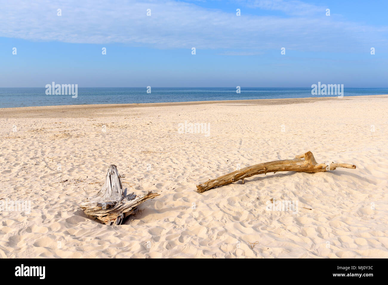 Racines allongé sur une plage de sable en journée ensoleillée. Mer Baltique, Pologne Banque D'Images