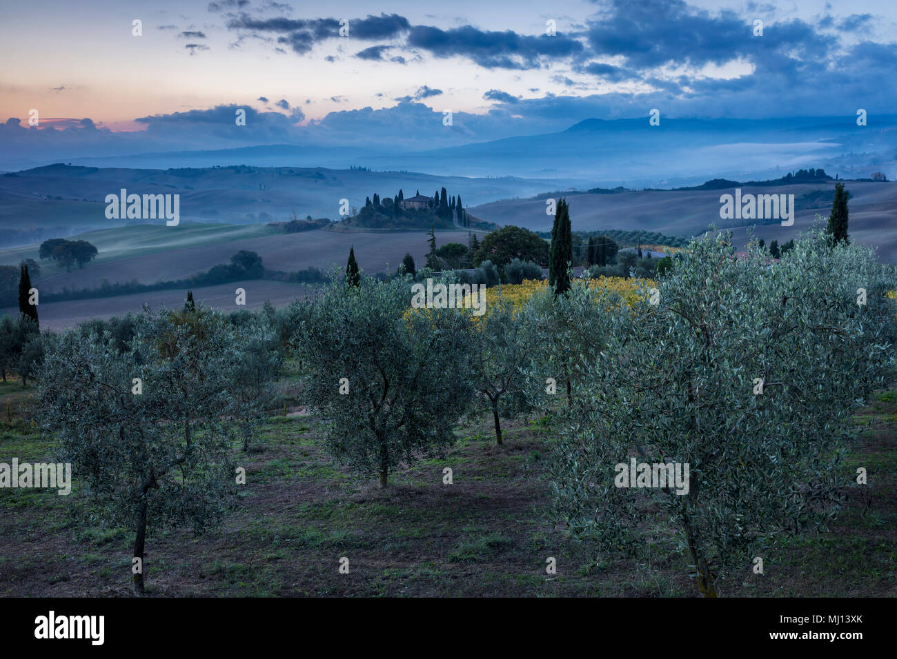 Tôt le matin, donnant sur le Belvédère et la campagne du Val d'Orcia, près de San Quirico d'Orcia, Toscane, Italie Banque D'Images