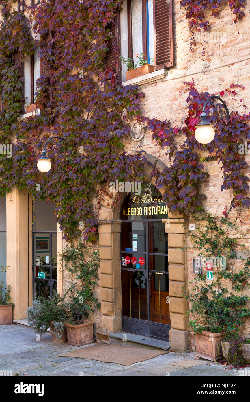 Ivy colorés et entrée principale de Oste, Hôtel et restaurant, Montepulciano, Toscane, Italie Banque D'Images
