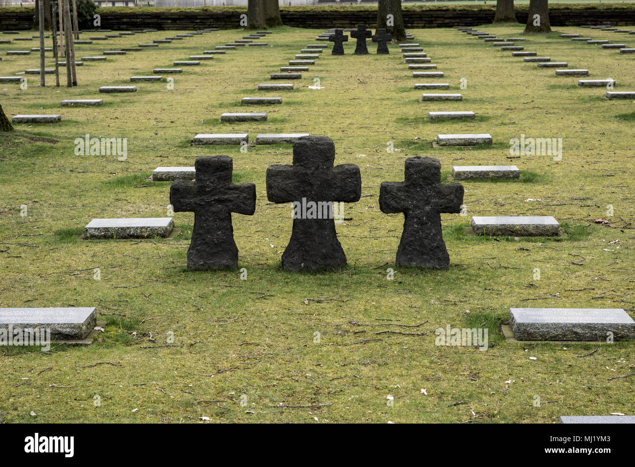 Cimetière militaire allemand de Langemark, tombes et croix en pierre, Première Guerre mondiale, Langemark Poelkapelle, Flandre occidentale Banque D'Images