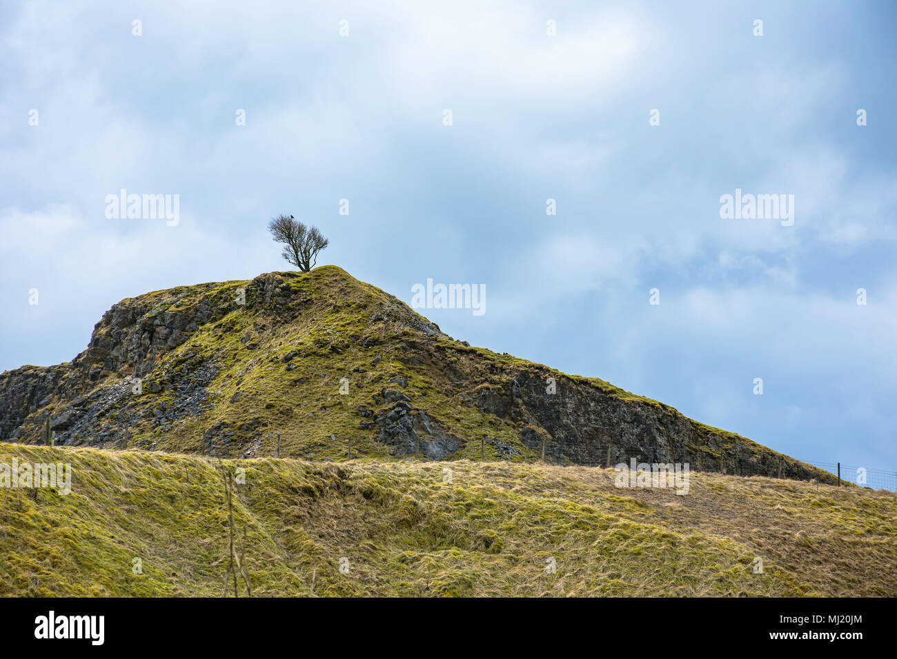 Haut de l'arbre sur la colline rocheuse et ciel bleu .Parc national de Peak District, Derbyshire Uk.superbe paysage campagne britannique au début du printemps. Banque D'Images