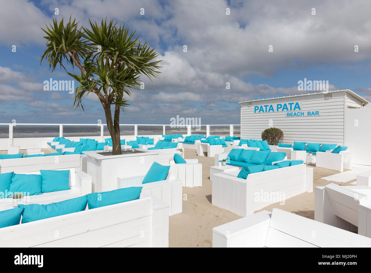 Bar de plage avec palmier sur la côte belge, Westende, Flandre-Occidentale, Belgique Banque D'Images
