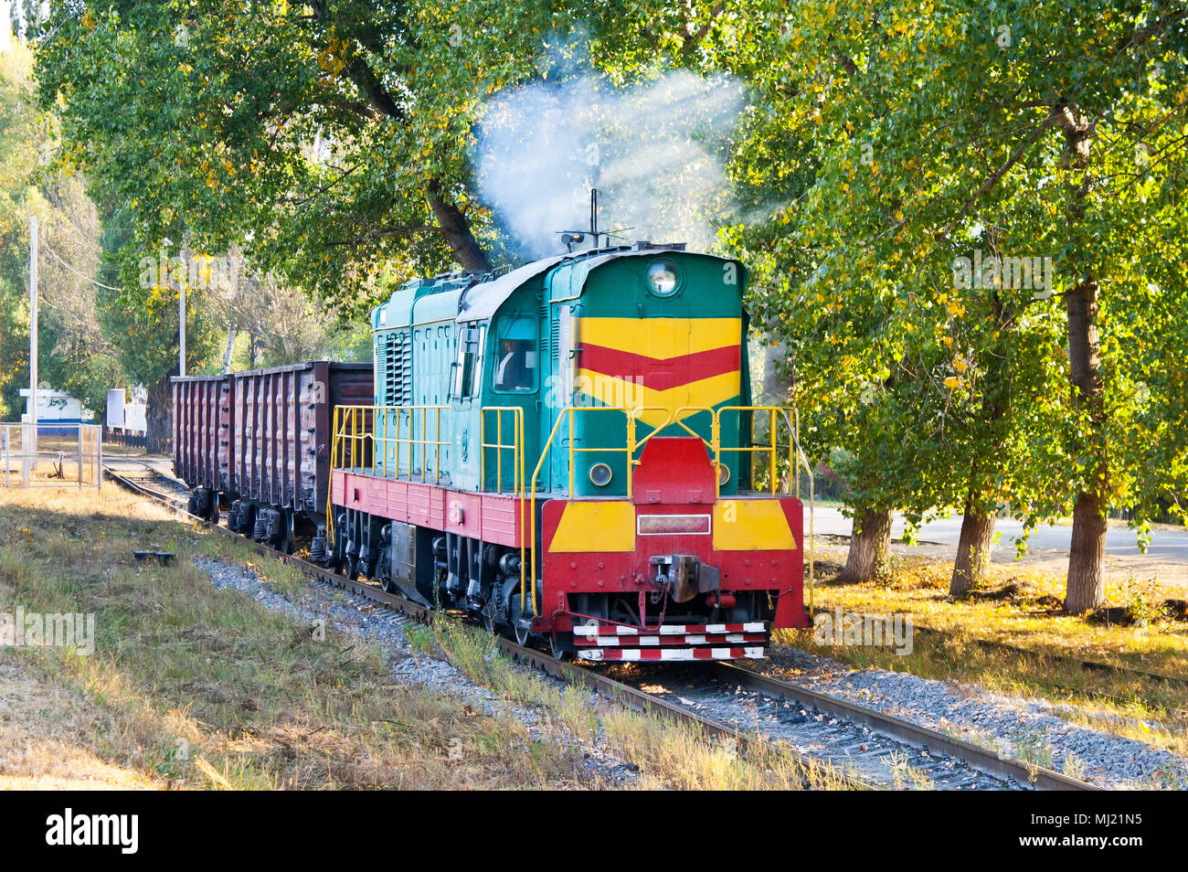 Transport de véhicule rail deux gondoles Banque D'Images