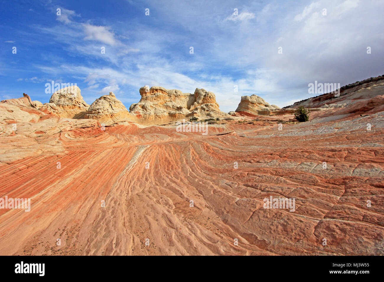 Papillon, une formation rocheuse à White Pocket, Coyote Buttes South CBS, Paria Canyon Vermillion Cliffs Wilderness, Arizona Banque D'Images