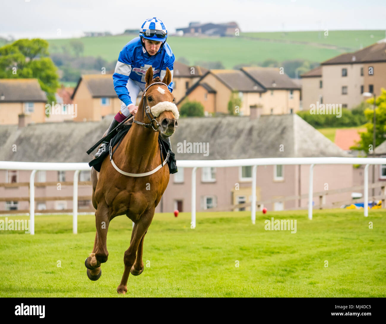 Musselburgh, Écosse, 4 mai 2018. Musselburgh Race Course, Musselburgh, East Lothian, Ecosse, Royaume-Uni. Un cheval de course galops au début de l'après-midi à la télévision les courses de chevaux. Ureyoutoldme "cheval" monté par jockey James Sullivan d'Irlande dans les 3.10 Jackson Boyd Lawyers-More qu'Handicap Banque D'Images