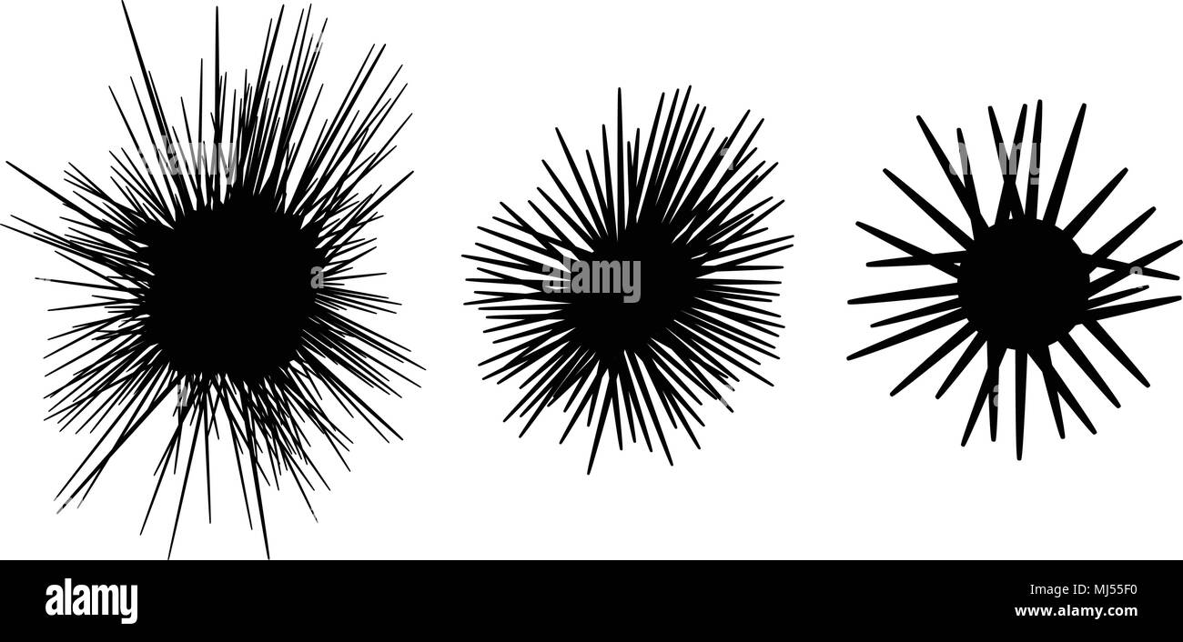 Ensemble de l'icône de l'oursin en silhouette, style vector art Illustration de Vecteur