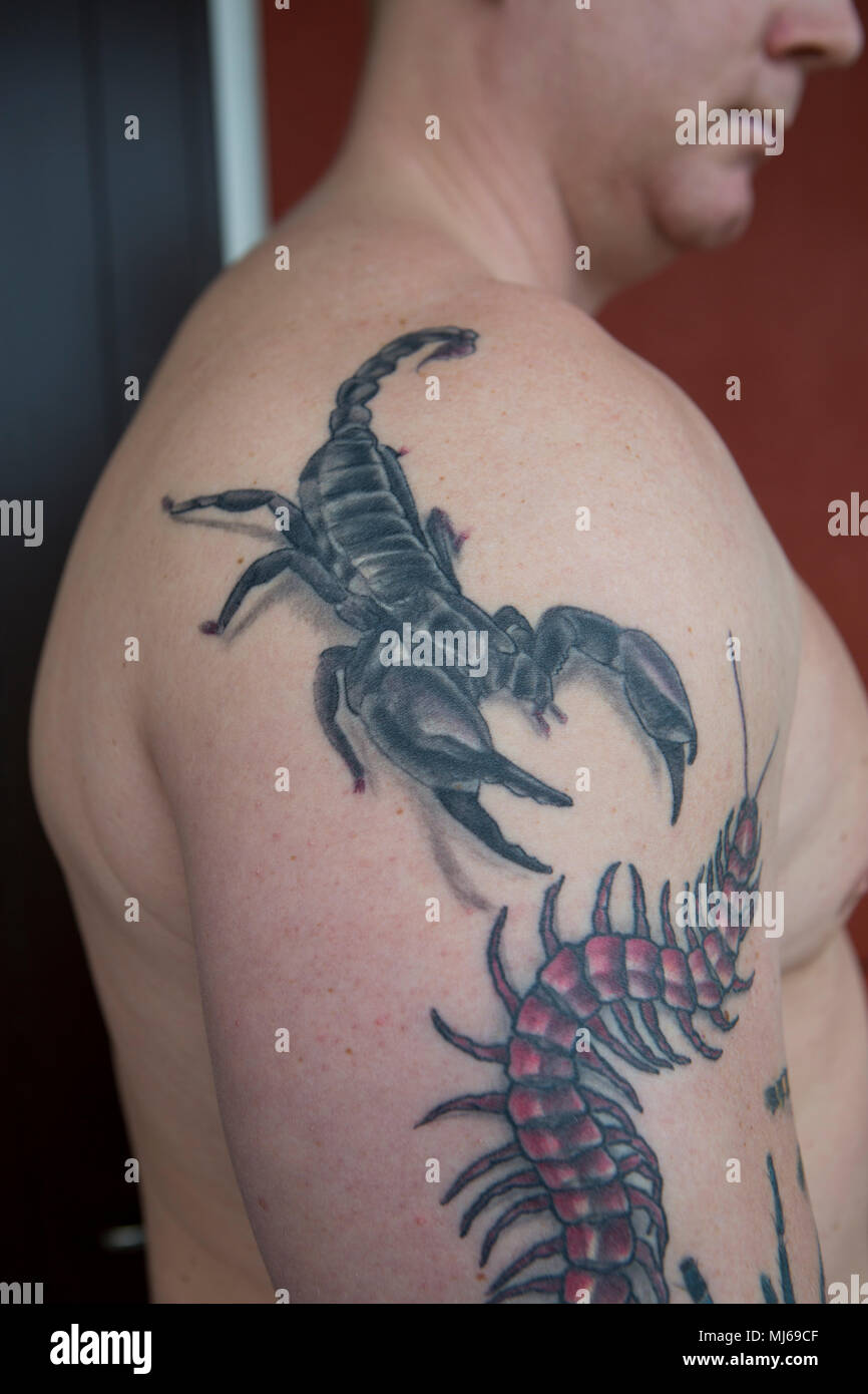 Un homme avec des tatouages sur le corps des insectes, la Suède. Banque D'Images