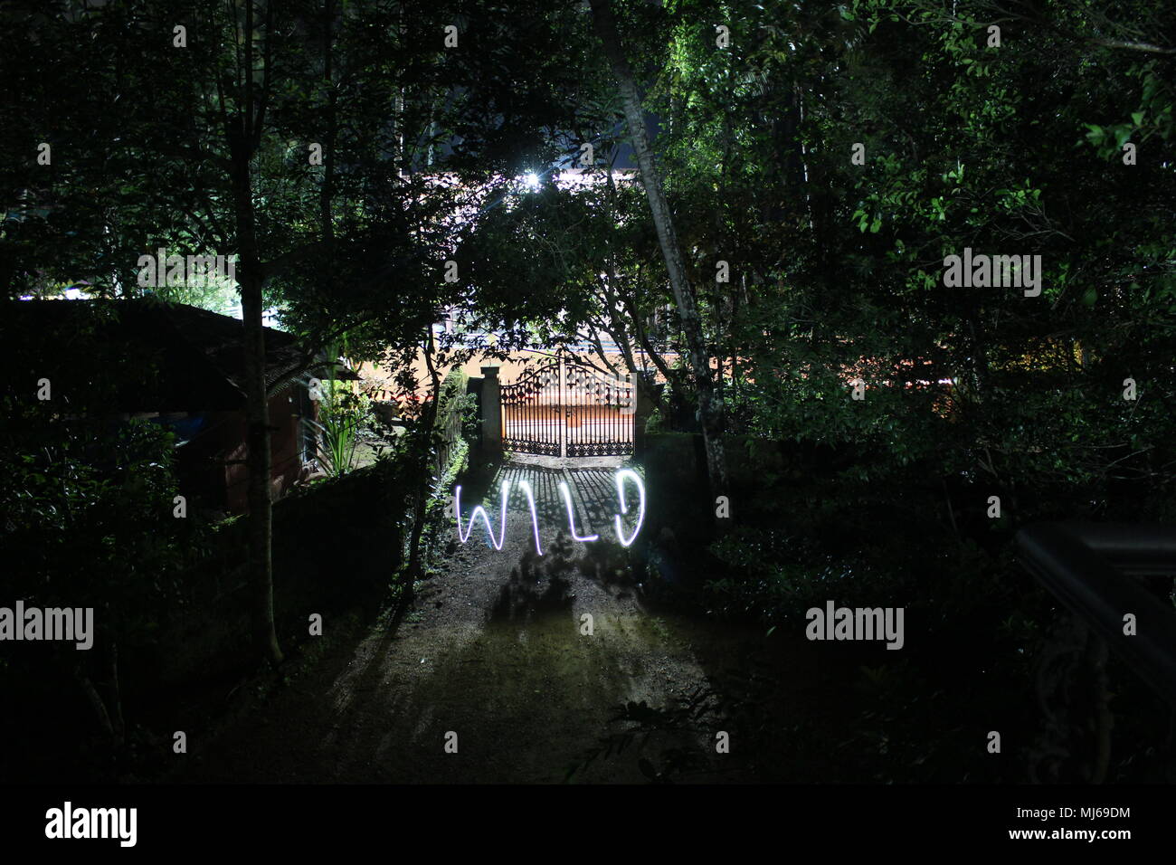 Une nuit sombre vue sur les arbres et une porte avec 'WILD' écrit avec une longue exposition Banque D'Images