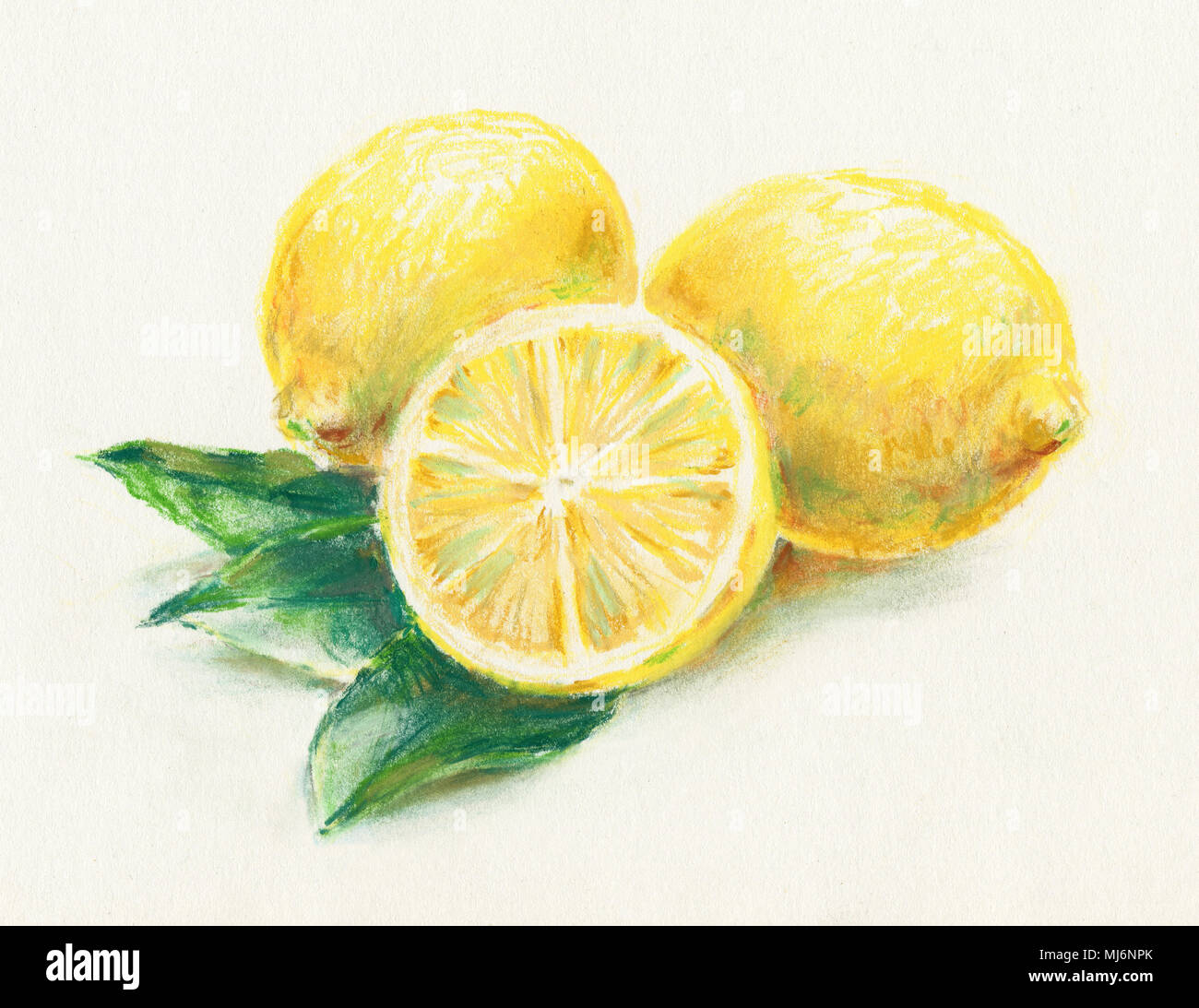 Encore la vie avec des citrons/Beaux-Arts Banque D'Images