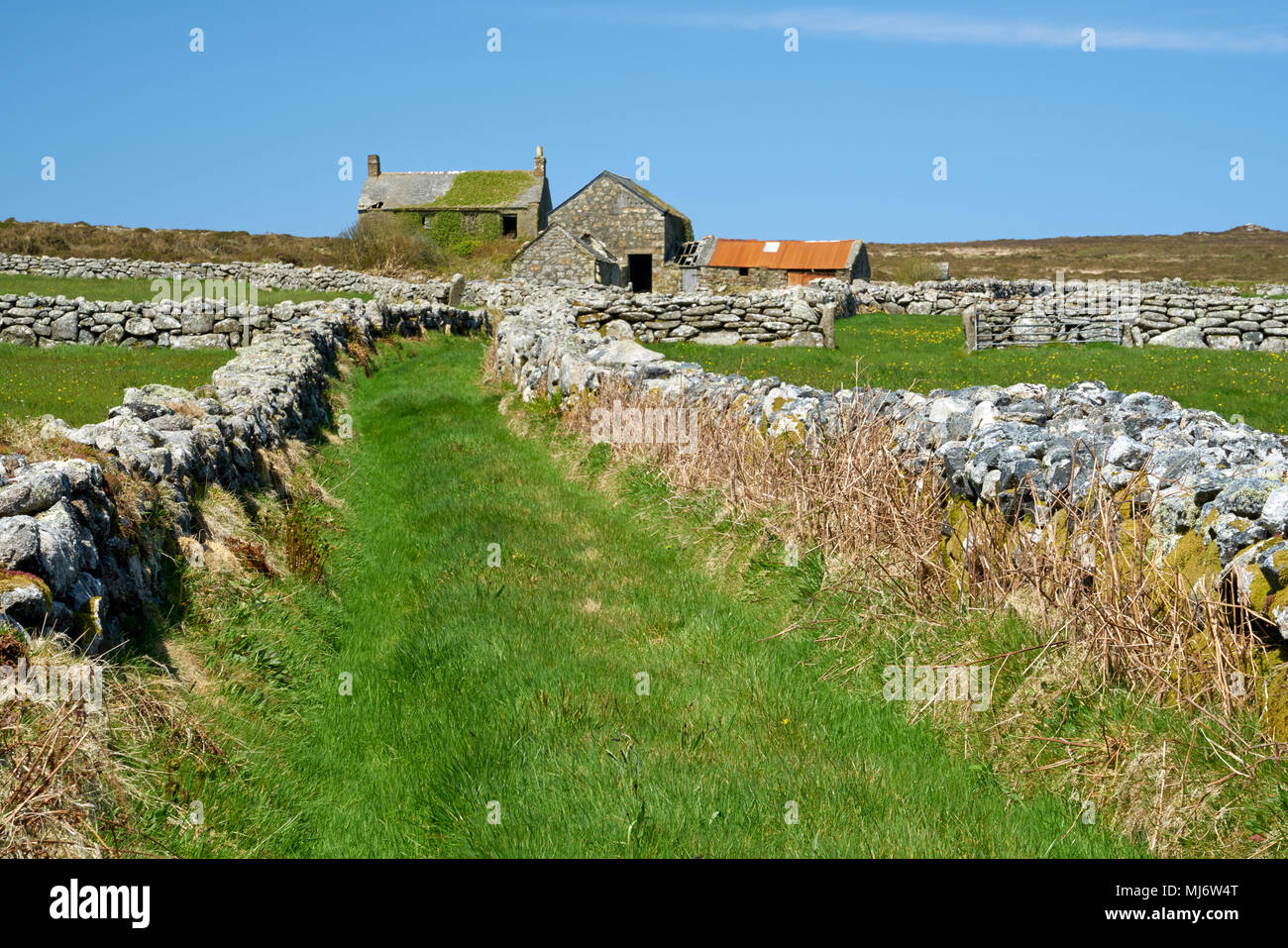 Les bâtiments agricoles à l'abandon des hommes à un âge de Bronze Tol pierres, Cornwall, UK. Construit au début du xxe siècle et du nom de la ferme du Couronnement (probablement Edward V11) Banque D'Images