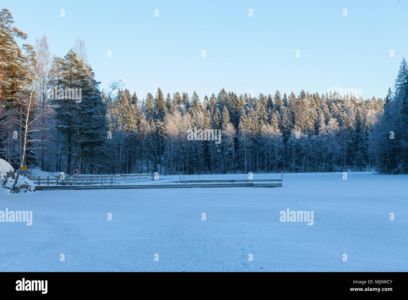 La moitié de la forêt au bord du lac dans la lumière du soleil à l'hiver Banque D'Images