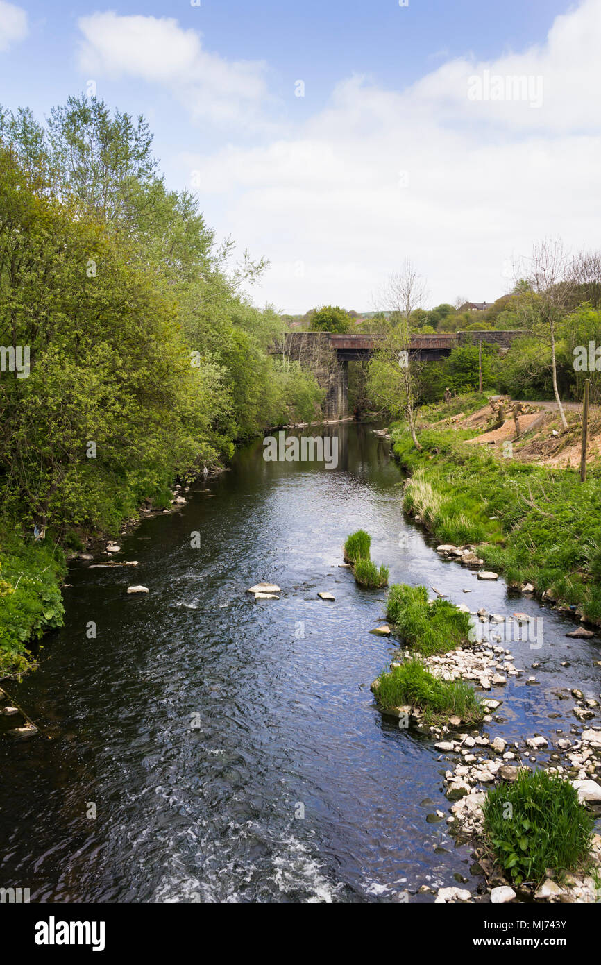 Rivière Irwell à bavures Country Park, Bury, Greater Manchester en regardant vers le pont de chemin de fer portant le East Lancashire Railway. Banque D'Images