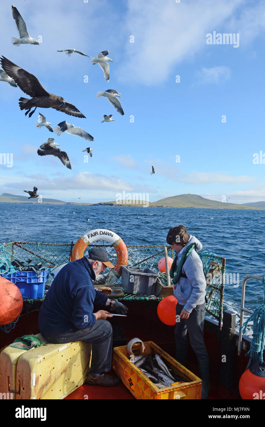 Garçon à la pêche avec son grand-père dans une mer Bateau de pêche du maquereau de la côte des îles Shetland Banque D'Images