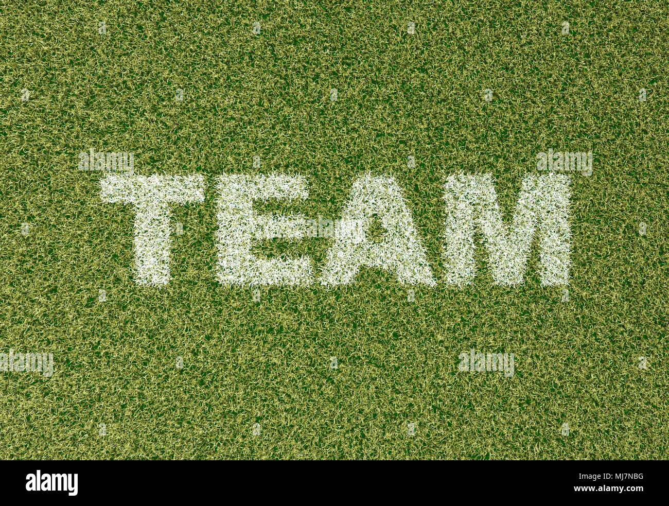 La texture de l'herbe réaliste football - terrain de soccer. Équipe - écrit avec de l'herbe blanche sur le terrain de football vert Banque D'Images