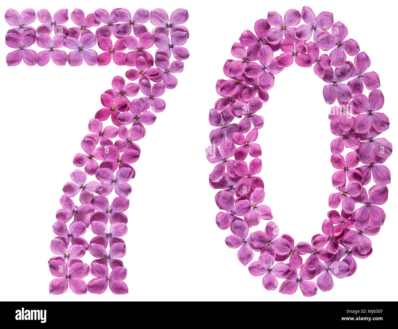 Chiffre arabe 70, soixante-dix, des fleurs de lilas, isolé sur fond blanc Banque D'Images