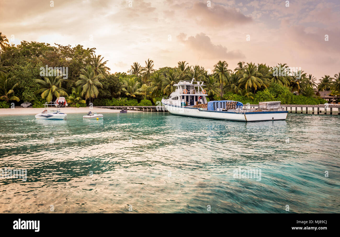 L'île tropicale et de l'eau de l'océan cristal aux Maldives Banque D'Images