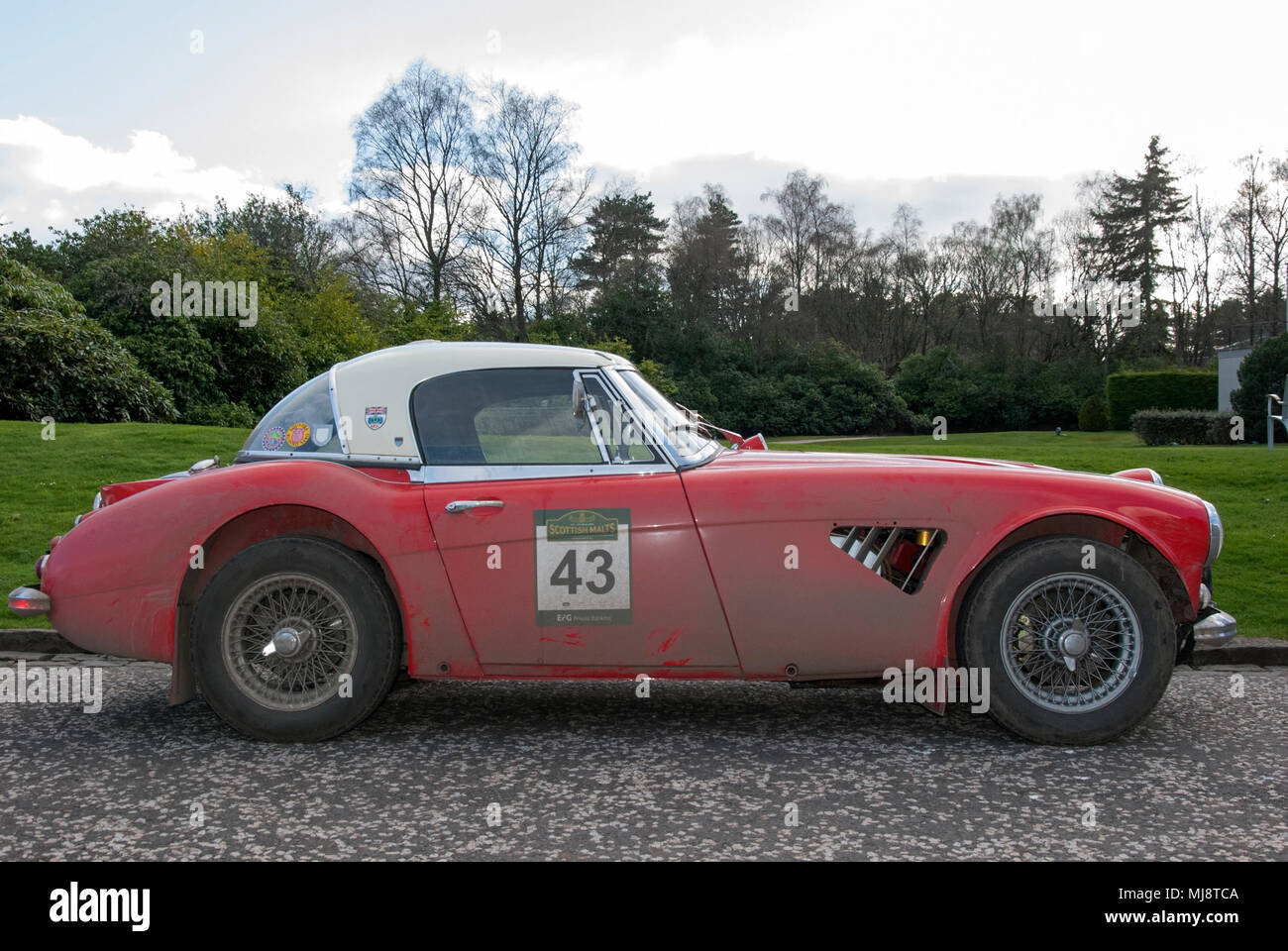 Austin Healy 3000 Rouge 1965 Mk III voiture de sport classique des pilotes hors-jeu main droite vue de côté 1965 austin healy 3000 rouge mark 3 droit britannique classique Banque D'Images