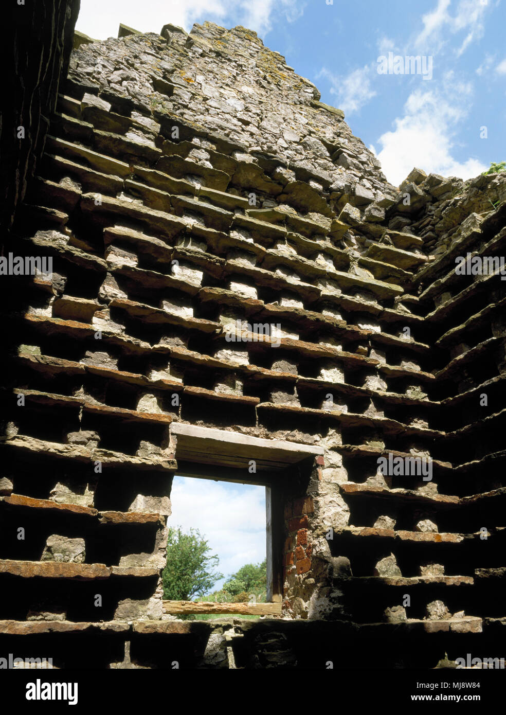 Des nichoirs à l'intérieur du 17ème siècle en ruine grand pigeonnier carré à Gop ferme, Trelawnyd, Flintshire, au nord du Pays de Galles, Royaume-Uni. Contenus autour de 700 nichoirs. Banque D'Images