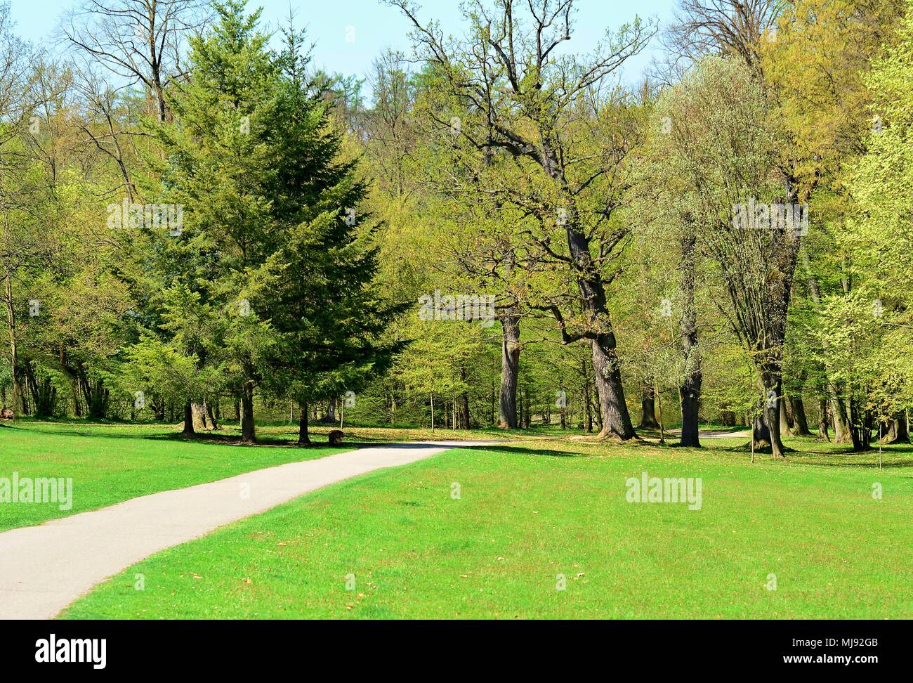 Chemin à pied à travers le parc verdoyant dans une journée ensoleillée. Le parc du château de Vlasim. Banque D'Images