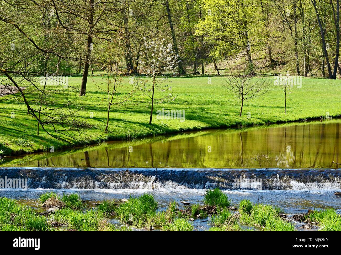 Vue d'une rivière dans le vert du parc en une journée ensoleillée. Le parc du château de Vlasim. Banque D'Images
