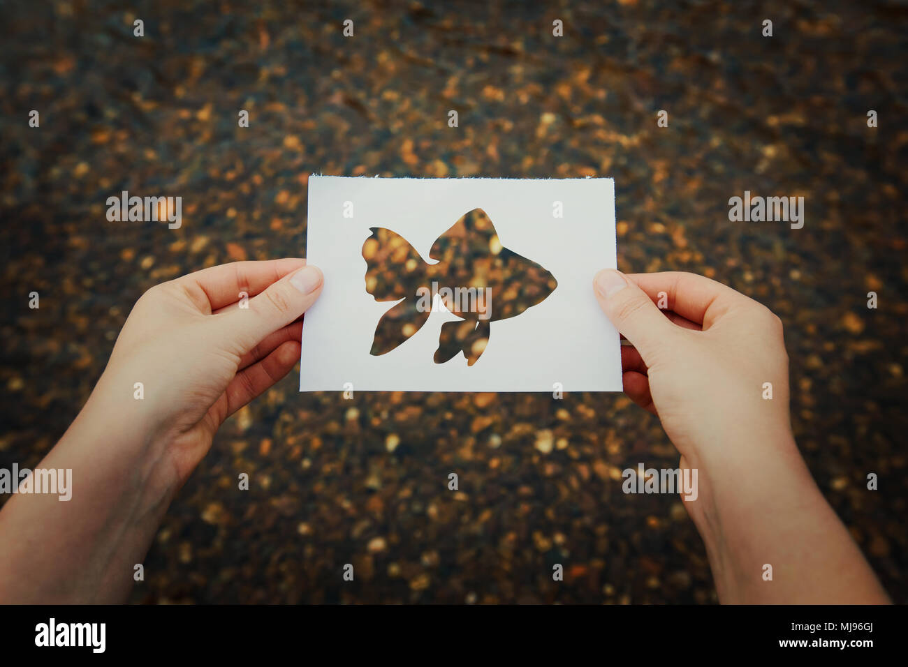 Femme mains tenant une feuille de papier blanc avec le poisson d'or forme sur la rive d'arrière-plan. L'espoir d'attraper le poisson d'or pour remplir les trois wis Banque D'Images