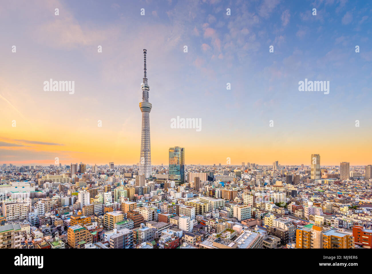 Tokyo, Japon cityscape et tour au crépuscule. Banque D'Images