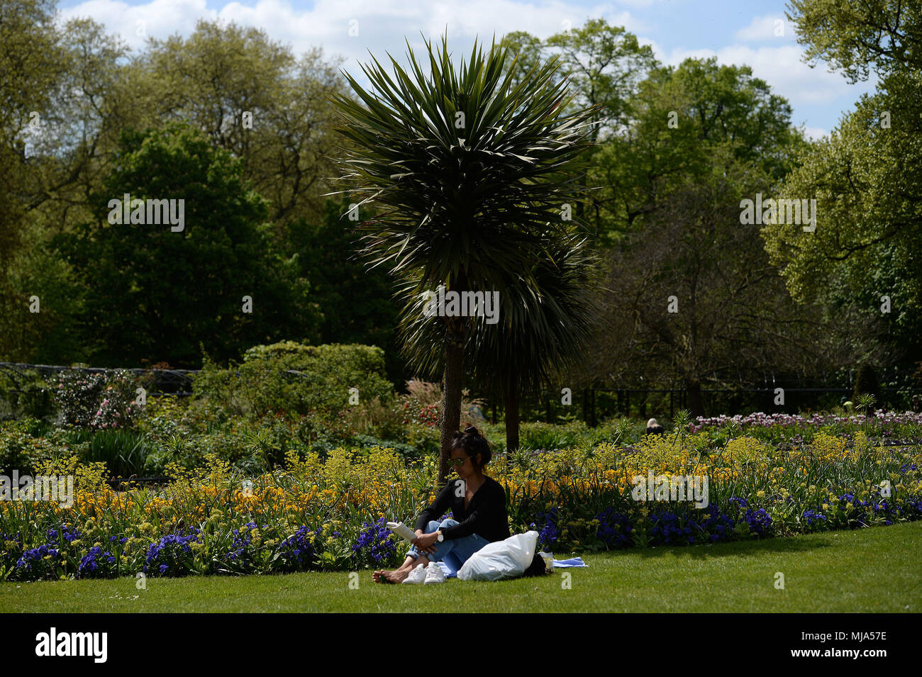 Une femme assise au soleil à Hyde Park, Londres, les Britanniques semblent prêts à profiter d'une vague de printemps, avec des vacances de banque lundi devraient être les plus chauds jamais. Banque D'Images