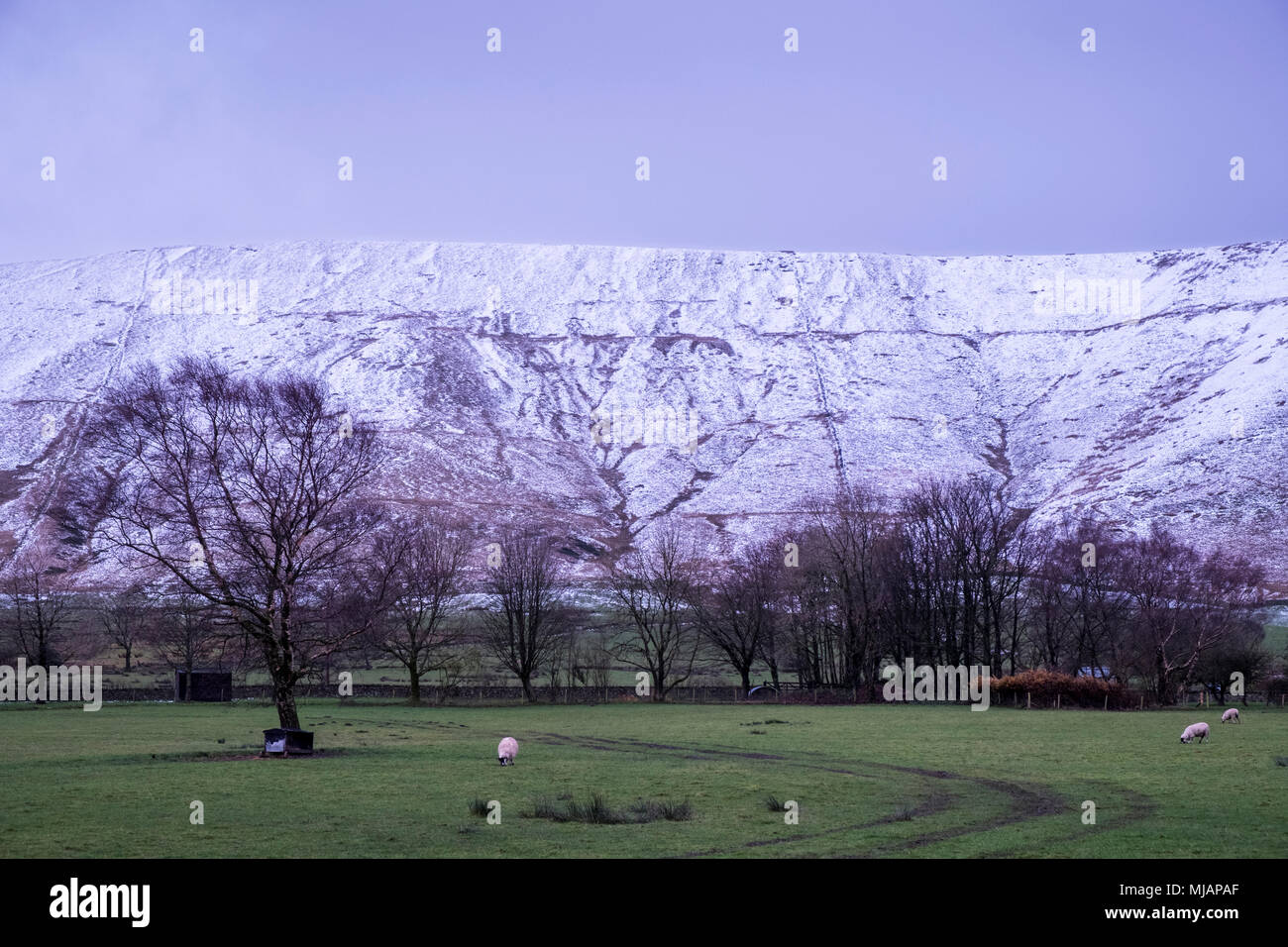 Campagne hivernale à la tombée de la scène en novembre. Terres agricoles humides avec des collines couvertes de neige, Coiffure Booth, Vale de Edale, Derbyshire, Pic Noir, England, UK Banque D'Images
