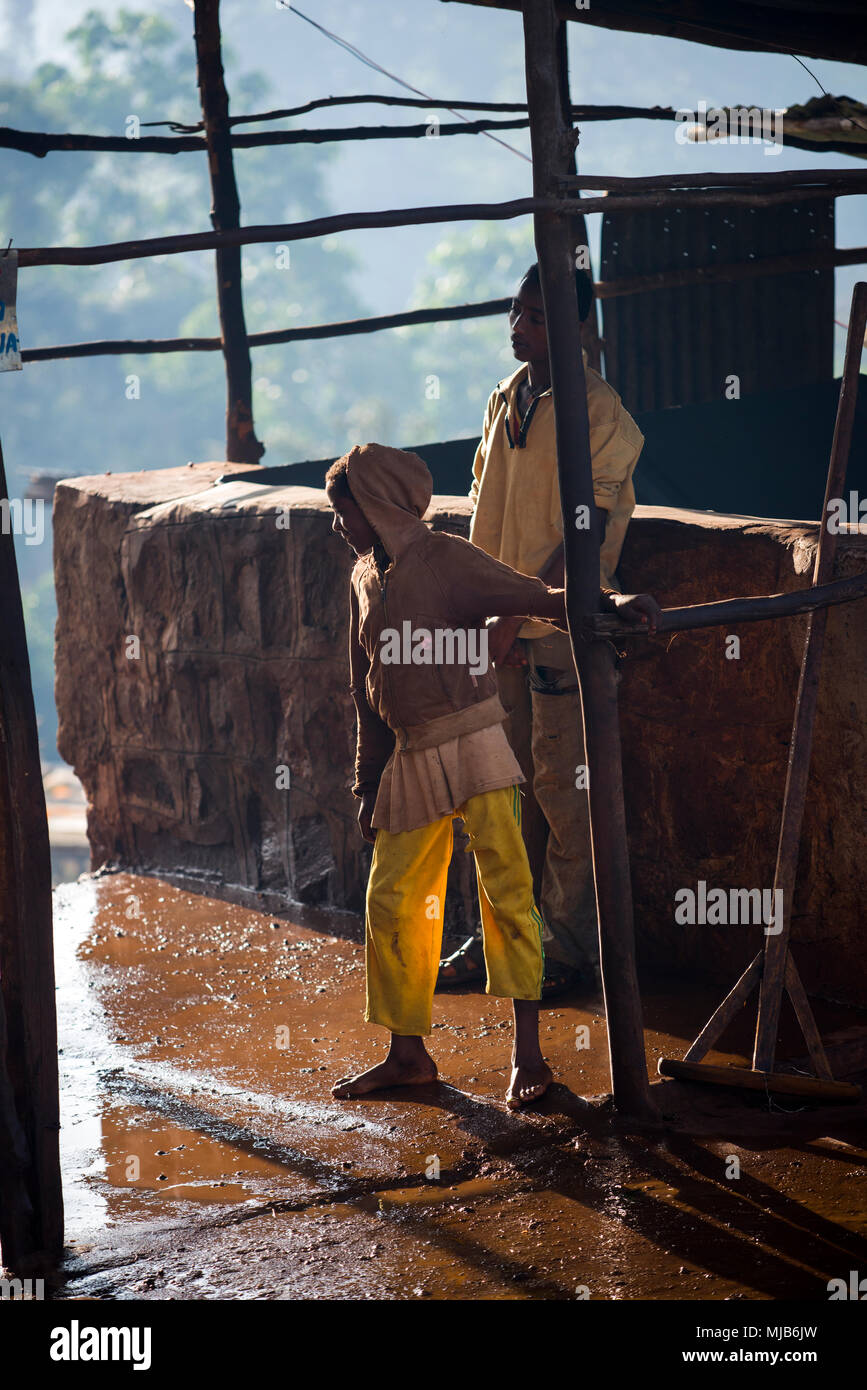 Les travailleurs au moulin à café, Mordecoffee (Shakiso, Ethiopie) nettoyer et laver l'installation après le changement de traitement de nuit Banque D'Images