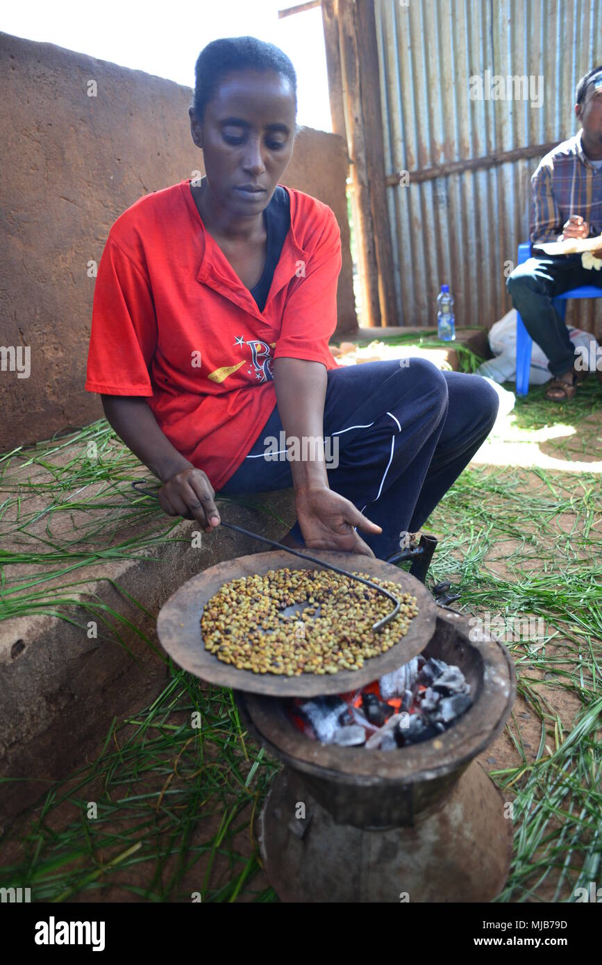 Une dame, la torréfaction du café à furnace, Suke Quto station de lavage de café, l'Ethiopie Banque D'Images