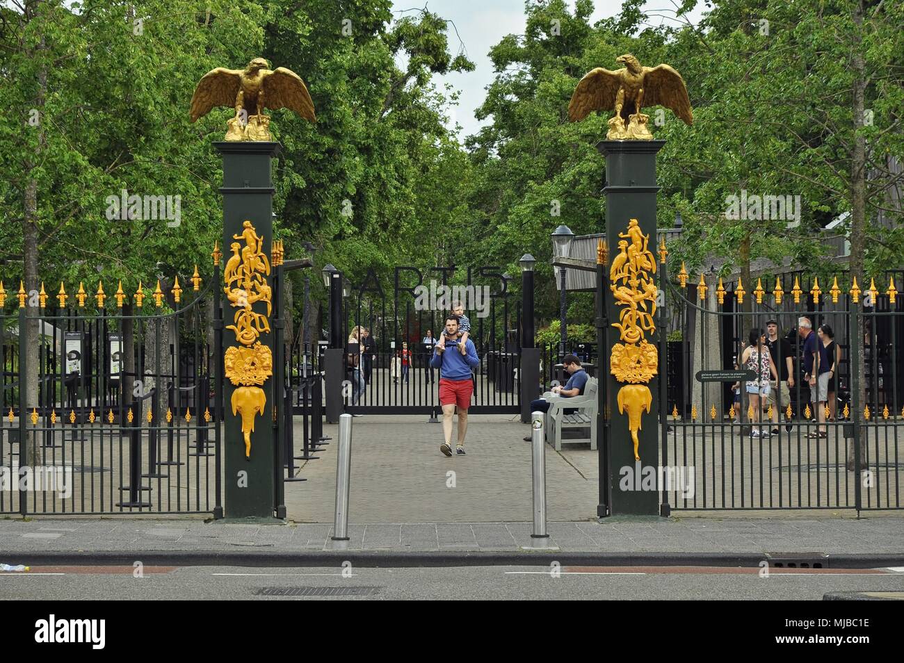 Artis zoo Banque de photographies et d'images à haute résolution - Alamy