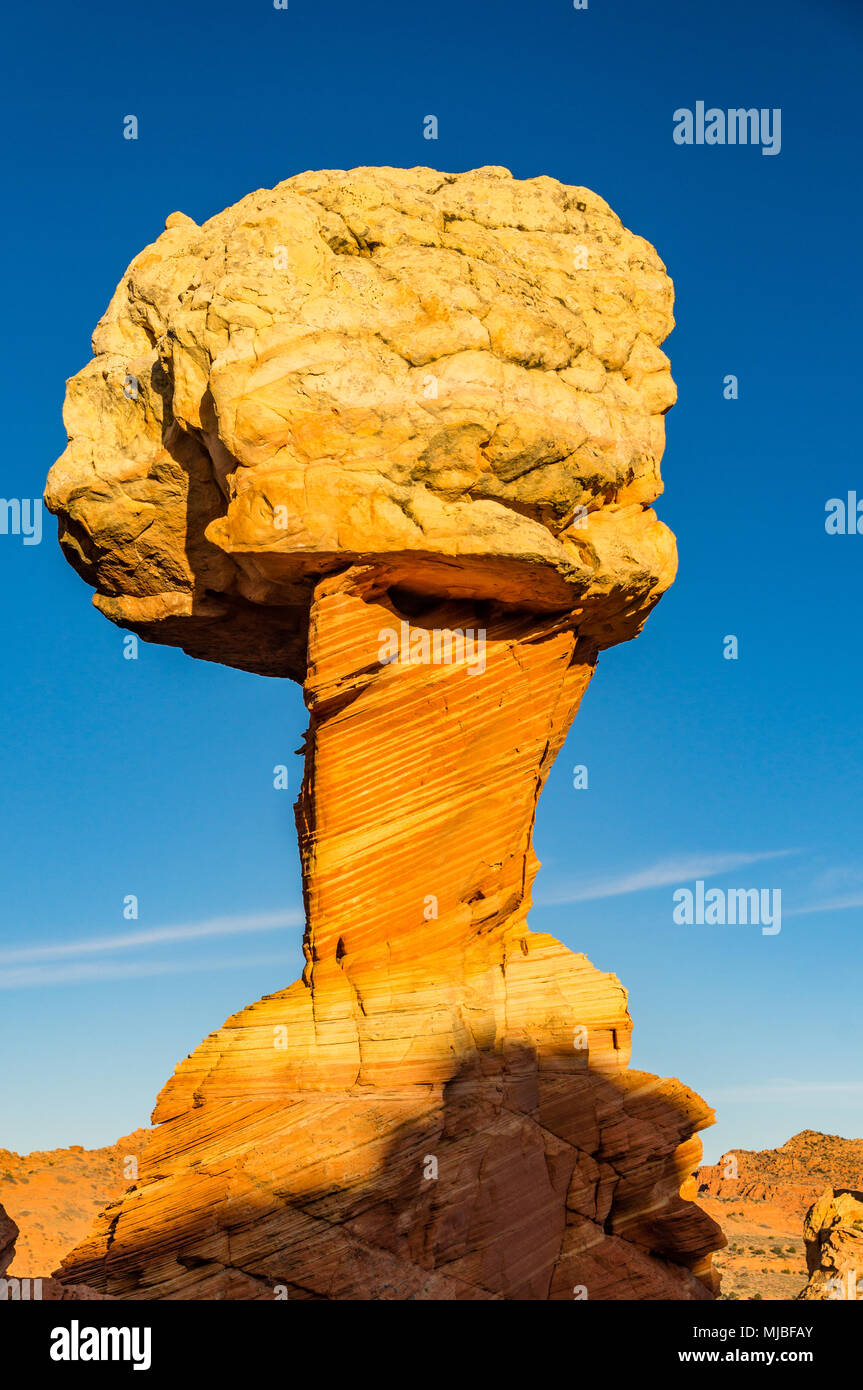 La crème glacée de grès colorés en forme de cône Sud accès Cottonwood formation Coyote Buttes Vermilion Cliffs National Monument Arizona United States. Banque D'Images
