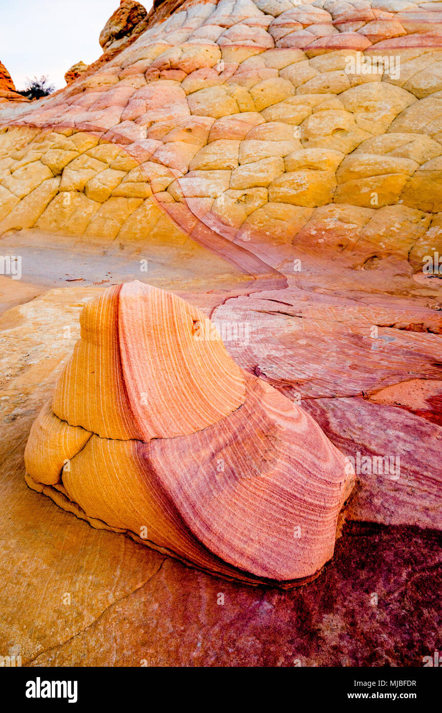 Roche de grès avec violet et or les couleurs de grès avec rayures de couleur semblable au Sud Coyote Buttes Vermilion Cliffs National Monument Arizona Banque D'Images