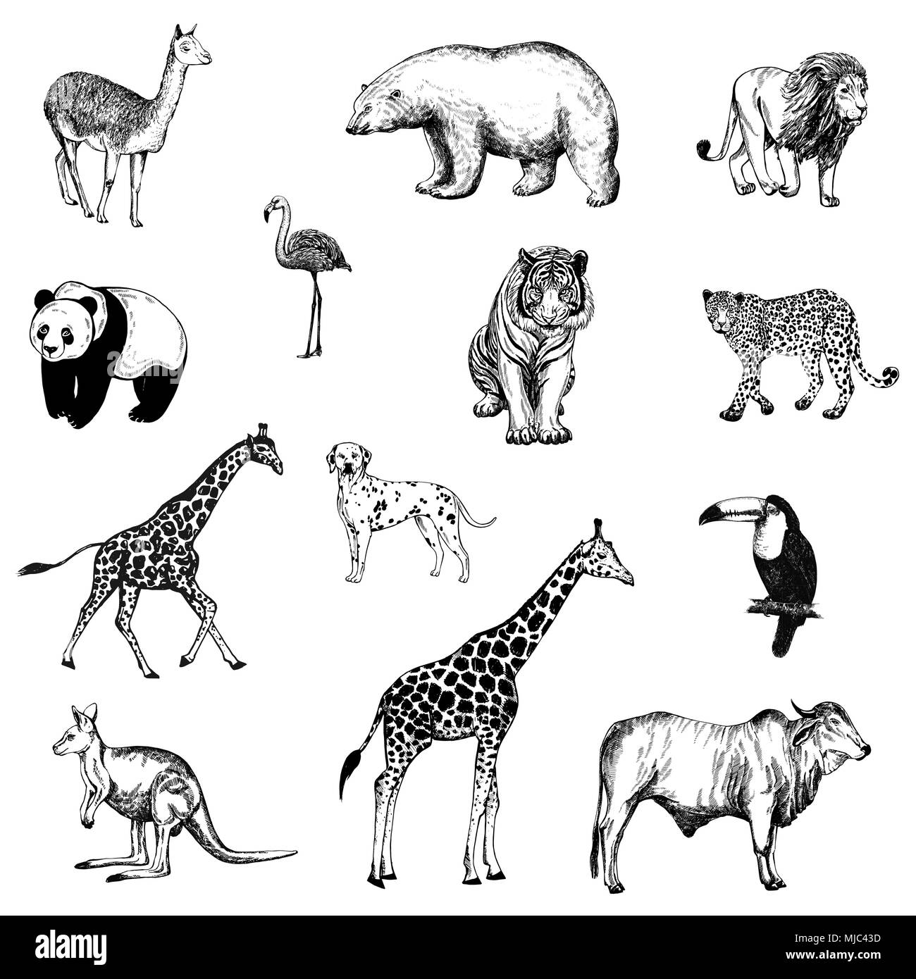 Ensemble de croquis dessinés à la main, d'animaux et d'oiseaux style isolé sur fond blanc. Vector illustration. Illustration de Vecteur