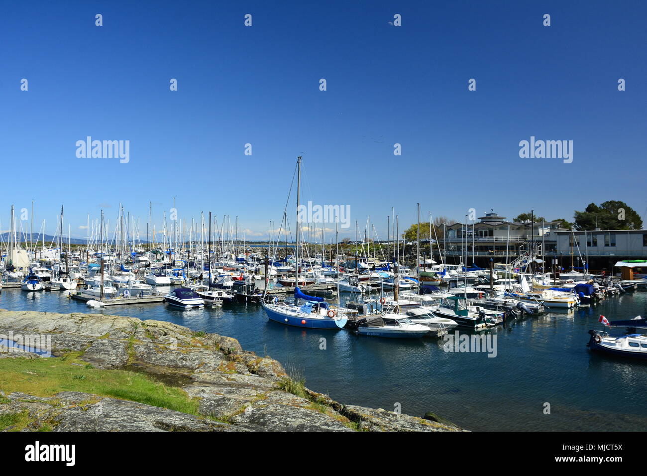 Oak Bay Marina rempli de bateaux à Victoria (C.-B.),Canada. Banque D'Images