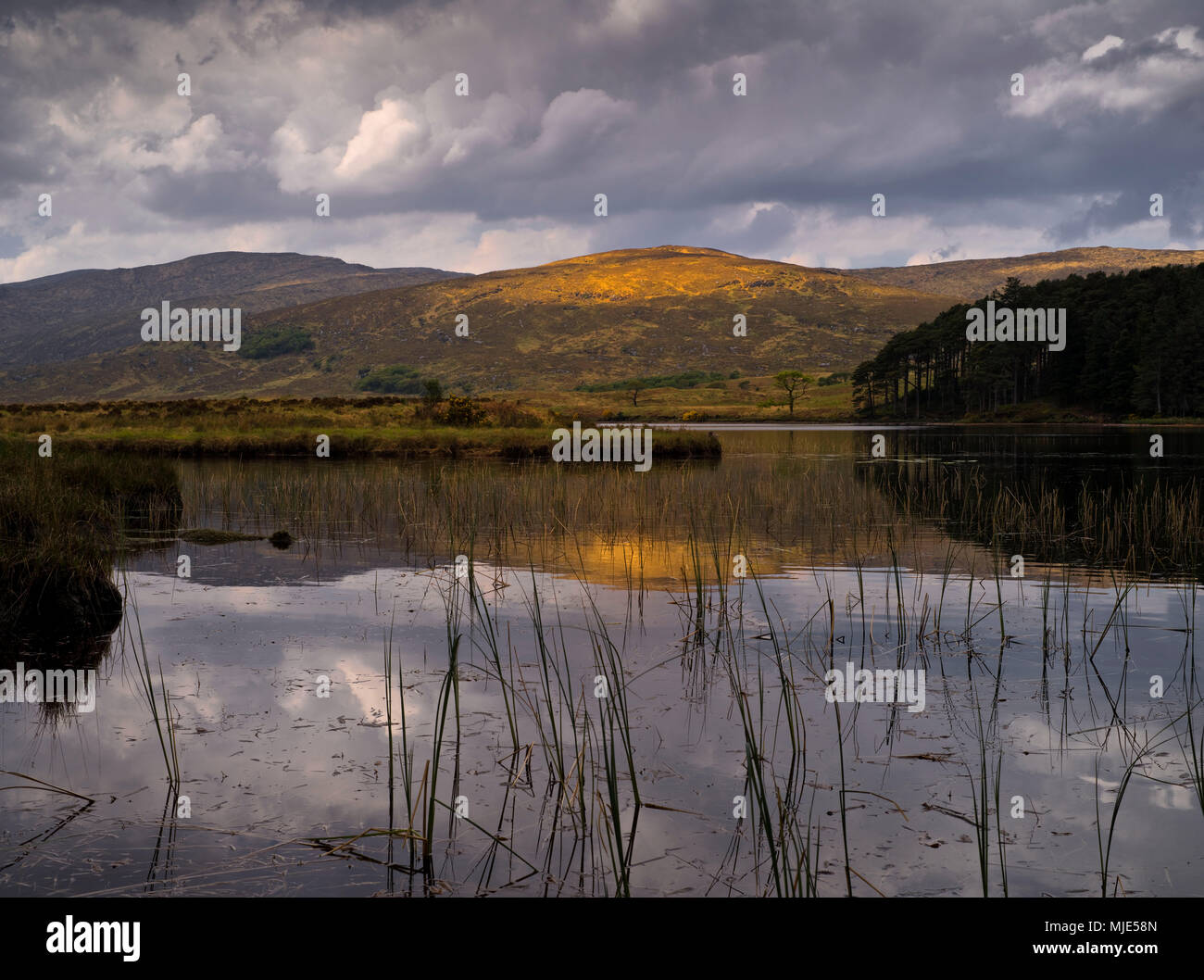 L'Irlande, le Donegal, le parc national de Glenveagh, Lough Veagh vue de la lake, le soleil du matin sur l'eau, la montagne, la réflexion Banque D'Images