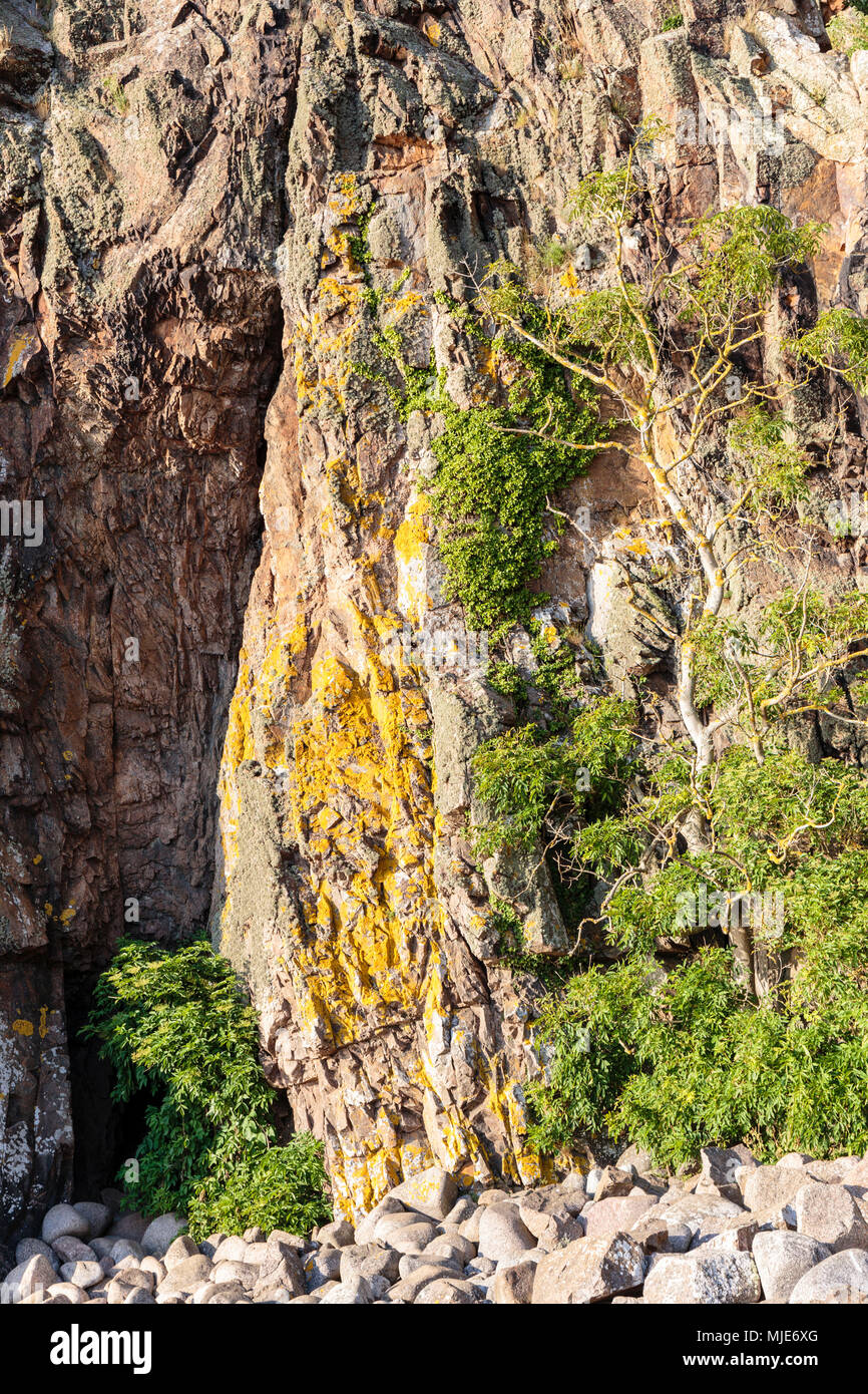 La formation rocheuse de Jons Kapel / Jon's chapel, en bas à gauche la 'cachés' grotte Jons, Europe, Danemark, Bornholm, Banque D'Images