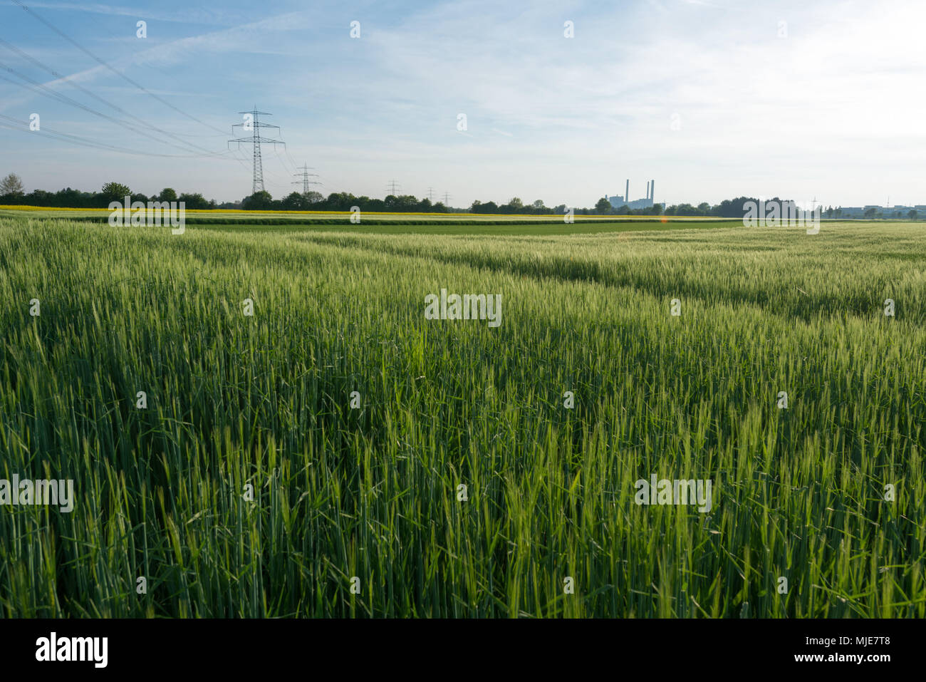 Feld, Unterföhring, de cogénération de l'arrière-plan, Banque D'Images