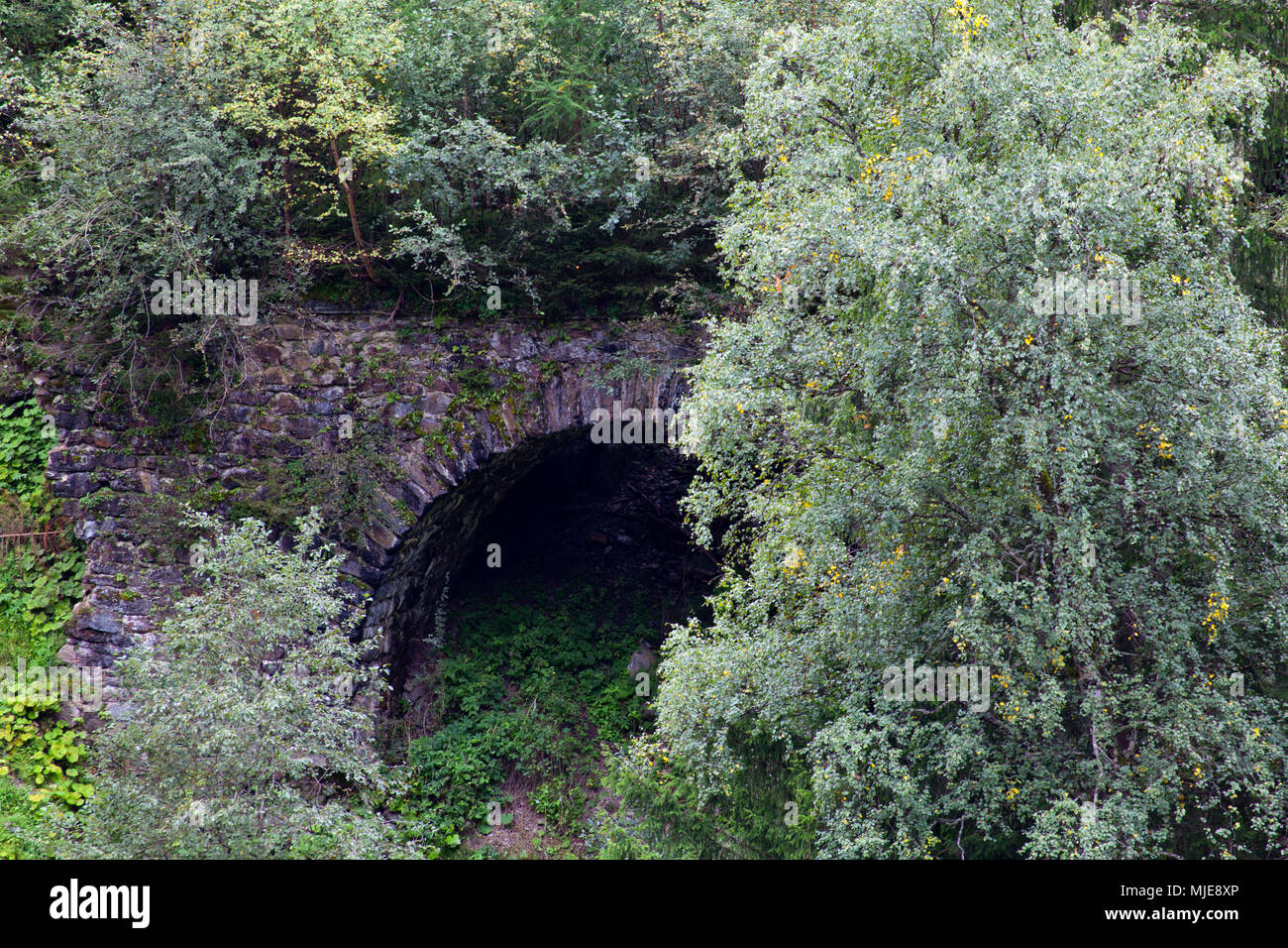 Pont en arc en pierre d'une ligne de chemin de fer pourri Banque D'Images