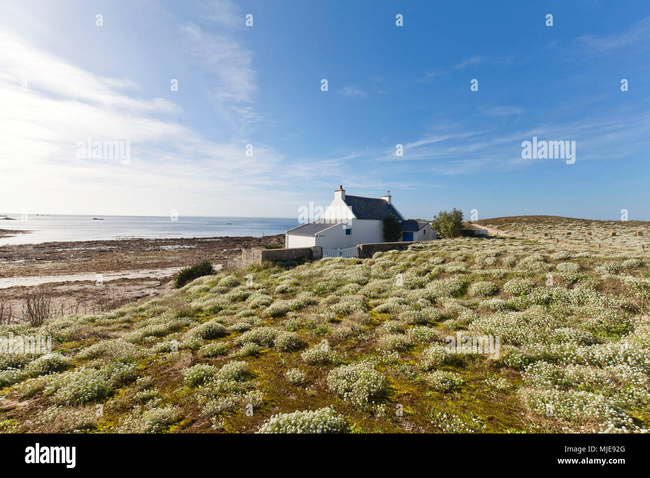 Petite maison sur dunes envahies par la Banque D'Images