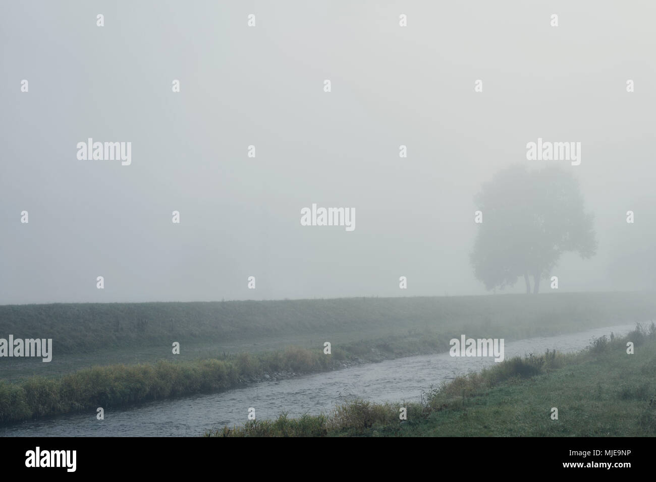Rivière avec riverside et arbre dans le brouillard sur un canal Banque D'Images