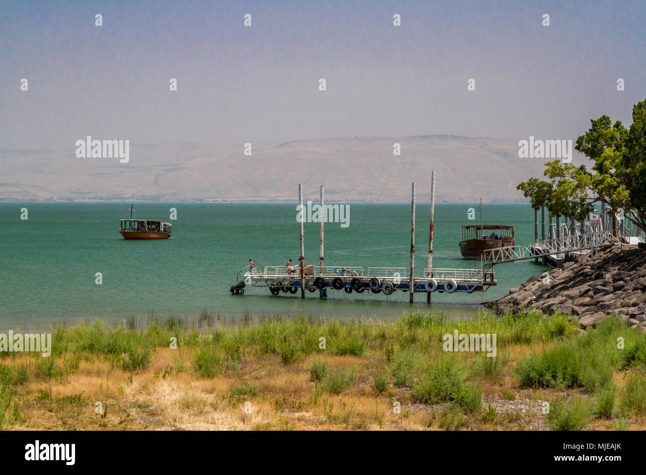 La côte de la mer de Galilée, près de l'église de la primauté de Saint Pierre, Tabgha, Israël. Banque D'Images