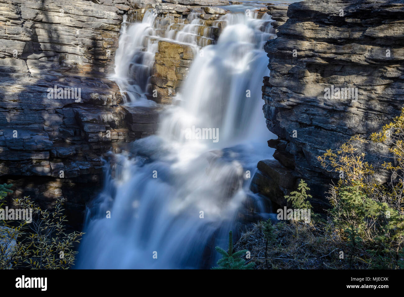 Les chutes Athabasca, Alberta, cascade, l'eau, débit, fluide, floue, cascade Banque D'Images